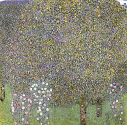 Gustav Klimt Rose Bushes Under the Trees